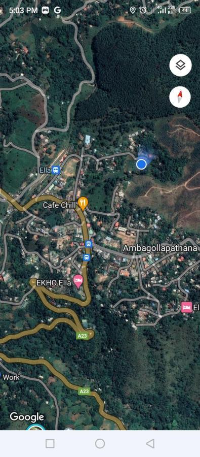 אלה Nethanya Homestay מראה חיצוני תמונה